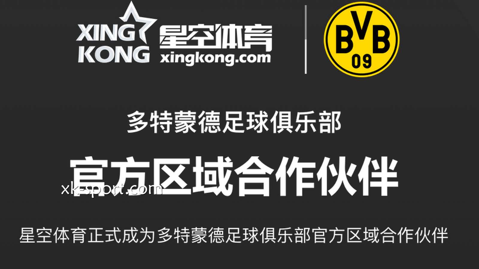 MK体育品牌赞助的多特蒙德俱乐部球星在世界杯中表现突出