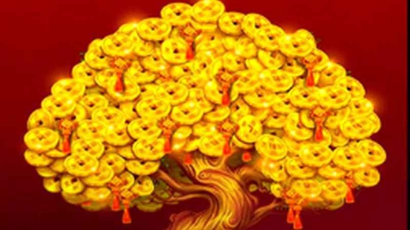 在MK体育玩多福多财街机版，让你多福又多财